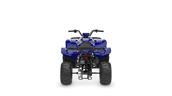 New Yamaha YFM110 Grizzly IN STORE