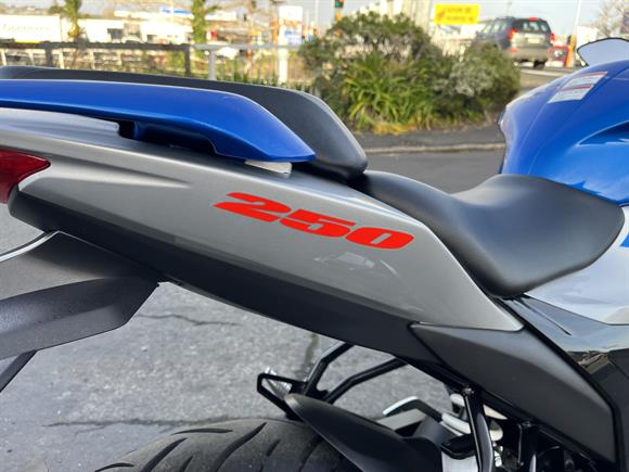 2025 Suzuki GSX250 FR