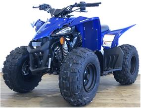 New Yamaha YFZ50 - RAPTOR 50 - IN STOCK NOW !!!