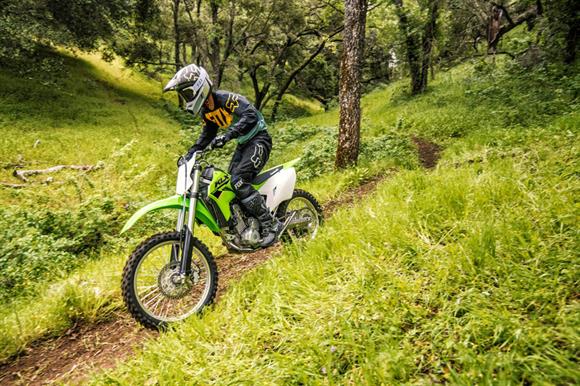 New Kawasaki KLX300  SAVE $500