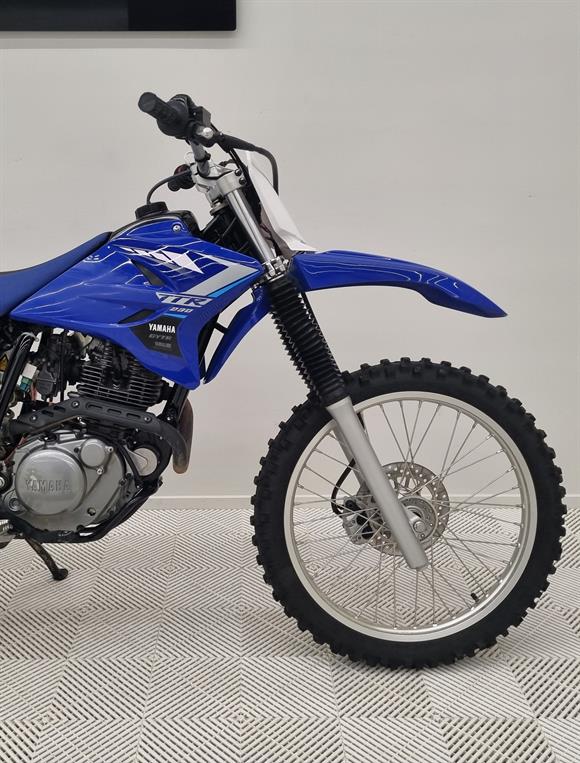 2020 Yamaha TTR230