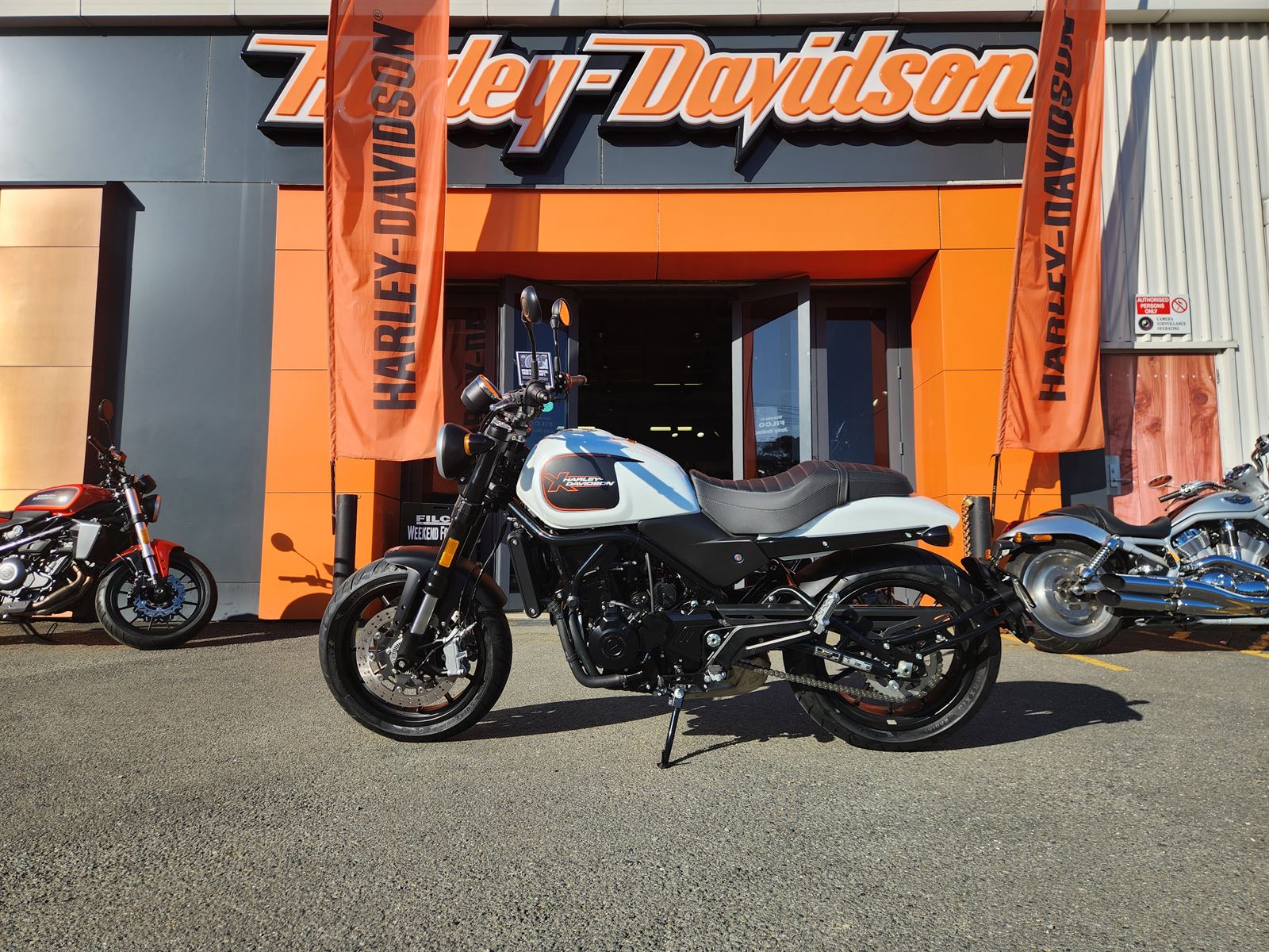 Harley-Davidson X500 X500 2024 - The best site for Motorbikes for sale ...