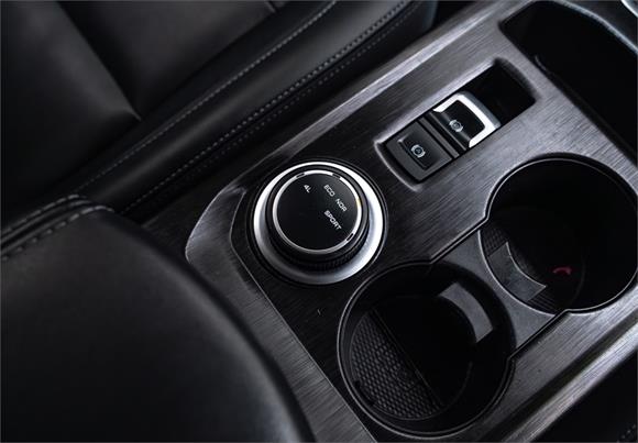 2021 GWM Cannon GWM Luxury 2.0L 4WD