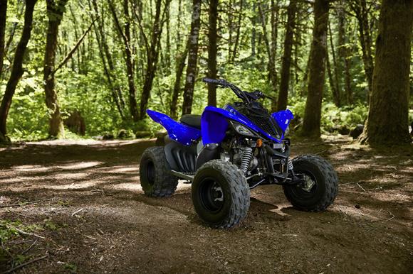 2025 Yamaha YFM110
