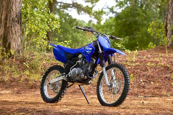 2025 Yamaha TTR125LWE