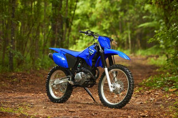 2025 Yamaha TTR230