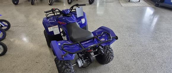 New Yamaha YFM90