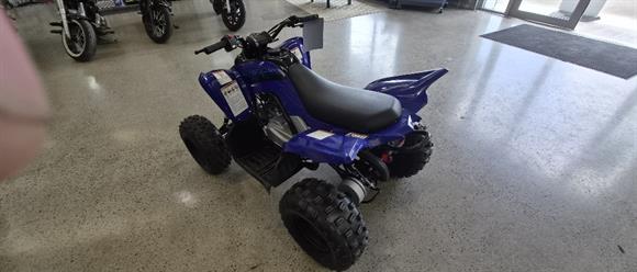 New Yamaha YFM110