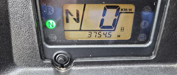 2019 Honda PIONEER700